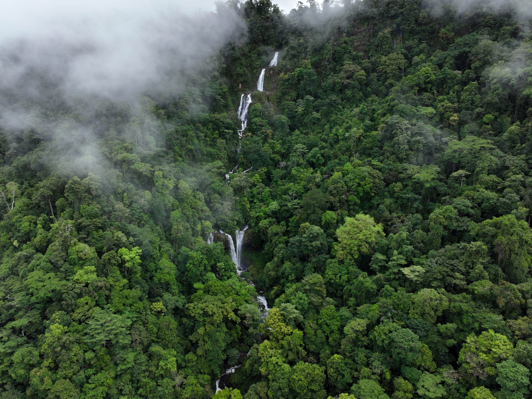 Cloud drifting over a forested valley with a thin waterfall